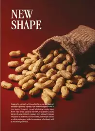 Catalog Proges Pagină 17