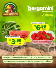 Catálogo Supermercado Bergamini Página 6