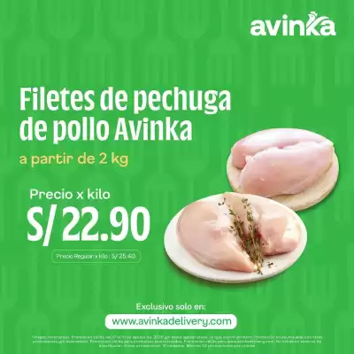 Catálogo Avinka (válido hasta 31-08)