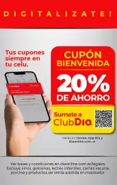 Folleto Supermercados DIA semana 34 Página 12
