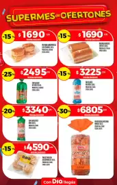 Folleto Supermercados DIA semana 34 Página 13