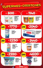 Folleto Supermercados DIA semana 34 Página 15