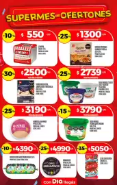 Folleto Supermercados DIA semana 34 Página 16