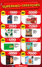 Folleto Supermercados DIA semana 34 Página 17