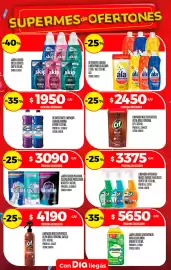 Folleto Supermercados DIA semana 34 Página 24
