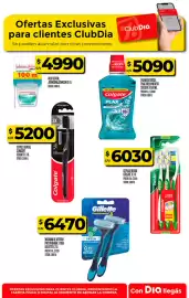Folleto Supermercados DIA semana 34 Página 27