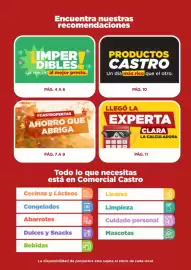 Catálogo Comercial Castro semana 52 Página 3