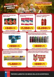 Catálogo Comercial Castro semana 52 Página 9