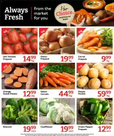 Oxford Freshmarket catalogue week 34 Page 6: Select Carrots €44,99, Onion Prepack €19,99
