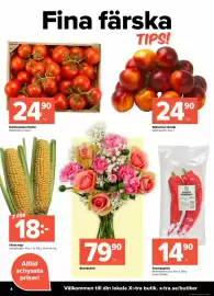Coop Extra reklamblad vecka 35 Sida 4: Kvisttomater lösvikt €24,90, Nektariner lösvikt €24,90
