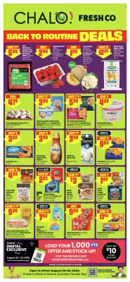FreshCo flyer