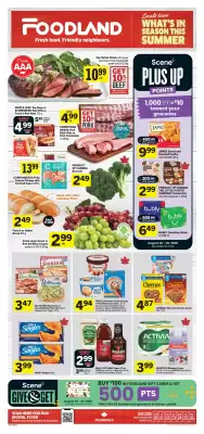 Foodland (valid until 26-08)