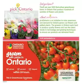 Fortinos flyer week 34 Page 13