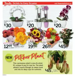Fortinos flyer week 34 Page 22