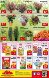 Zimmermann Prospekt woche 35 Seite 16