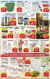 Zimmermann Prospekt woche 35 Seite 6