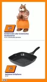 Action Flugblatt woche 34 Seite 9: Eichhörnchen oder Schottisches Hochlandrind €4,99, Redstone Grillpfanne €7,95