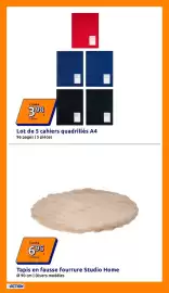 Catalogue Action semaine 34 page 8: Studio Home Tapis en fausse fourrure €6,95, Cahiers quadrillés A4 €3,98