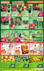 Catalogue Norma semaine 35 page 4: Lenor Assouplissant €5,99, Finest Garden Terreau de plantation €2,99