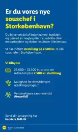 Lidl tilbudsavis uge 35 Side 29
