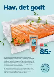 Netto tilbudsavis uge 34 Side 13