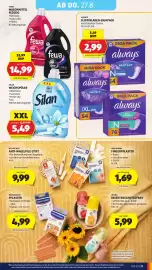 Hofer Flugblatt woche 34 Seite 33: Always Slipeinlagen GigaPack €2,99, Silan Weichspüler €5,49
