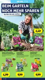 Hofer Flugblatt woche 34 Seite 38: Bienen-/Schmetterlingsfreundliche Blumenzwiebeln €4,99