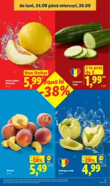 Catalog Lidl săptămâna 35 Pagină 3