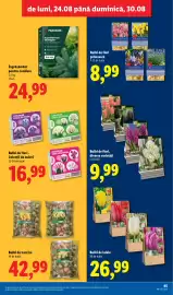 Catalog Lidl săptămâna 35 Pagină 45