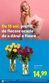 Catalog Lidl săptămâna 35 Pagină 46