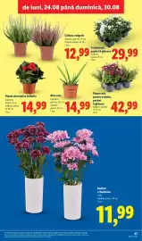 Catalog Lidl săptămâna 35 Pagină 47