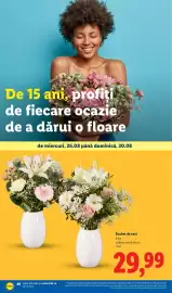 Catalog Lidl săptămâna 35 Pagină 48
