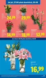 Catalog Lidl săptămâna 35 Pagină 49