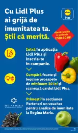 Catalog Lidl săptămâna 35 Pagină 91
