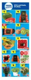 Real Canadian Superstore flyer week 34 Page 17