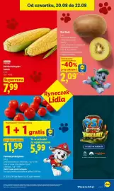 Lidl gazetka Strona 47