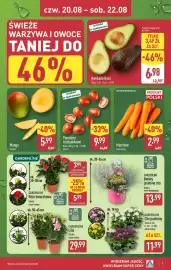 ALDI gazetka Strona 7: Awokado Hass €6,98, Chryzantemy Gardenline €11,99