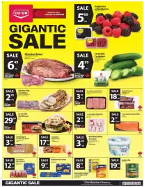 Co-op flyer week 34 Page 1: Co-op Lean Ground Pork €3,49, Coca-Cola or Pepsi Products €12,99