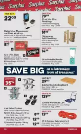 Princess Auto flyer Page 31