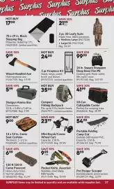 Princess Auto flyer Page 38