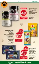 Żabka gazetka Strona 86