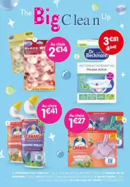 Catalogue b&m page 8: Freshclean Blocs WC €14,00, CANARD Gel fraîcheur intense €1,41