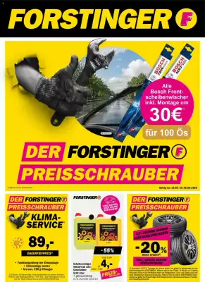 Forstinger (gültig bis 5-09)
