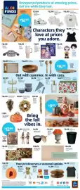 Aldi weekly ad week 34 Page 2: Kirkton House Fall Comfort Mat €8,99, Kirkton House Harvest Wreath €19,99
