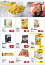 Kastner Flugblatt Seite 13: Polarfrost Zwetschken-Blechkuchen €15,99, Meisterfrost Erdbeer- oder Marillenfrucht knödel €0,44
