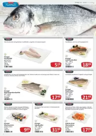 Kastner Flugblatt Seite 4: Eisvogel Karpfenfilet €21,49, Haak & Christ Räucherlachs geschnitten €17,99