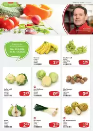 Kastner Flugblatt Seite 7: öst. Knollensellerie €1,59, Kiwi Hayward €0,47