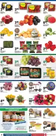 Big Y flyer week 34 Page 9: Big Y Freshly Made Salad €7,99, Driscoll's Blackberries €7,99