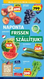 ALDI akciós újság hét 34 Oldal 13