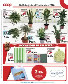 Volantino Coop Superstore Pagina 26: Gadget bagno in microfibra €4,90, Pothos €7,89